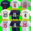 2024 Custom S-4XL Lewis Baseball Jerseys Byron Buxton Luis Arraez Miranda Carlos Correa Max Kepler Sanchez Minesota GORDON JORGE POLANCO Twins SANO Hommes Femmes Jeunes