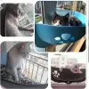 Коврики Shuangmao Pet Cat Hammock Ledings солнечный окно -ланджер всасывающий гамакс