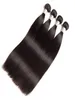 Малайзийские 100 наращиваний человеческих волос Шелковистые прямые двойные утки Цельные утки волос Прямые продукты для волос натурального цвета 830inc2458108
