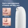 Devices Small Nano Oxygen Injector Portable Facial Moisturizing Apparatus Essence Importer Clean Pores Promote Absorption Skin Care USB