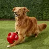 Toys M/L Size Kong Jumbler Ball/Football Dog Toy, färg varierar