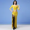 Bühnenkleidung für Erwachsene, Tanzkostüme, orientalischer Bauchtanz, Bollywood-Kleid, sexy Leistung