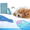 Boxes Portable Dog Training Toilet Potty Pet Puppy Litter Toilet Tray Pad Mat For Dogs Cats Easy to Clean Pet Product Indoor