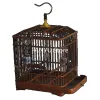 Nesten Houten Luxe Huis Vogelkooien Papegaai Draagbare Drager Southe Park Vogelkooien Kleine Kweekkooi Oiseau Vogelbenodigdheden WZ50BC