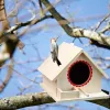 Nids bois oiseaux nichoir nouveau bricolage petit jardin extérieur perroquet calopsitte hirondelles nid en bois maison d'oiseau