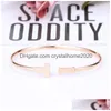 Double T Bracelet Titanium Steel Couple Female European And American Stainless Rose Gold Net Red Drop Delivery Dhjov