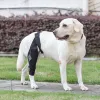 Transportadores cinta de quadril para cães cão hip displasia cinta respirável protetor de perna suporte traseiro alta elasticidade com tira de metal cão deficiente