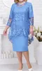 Plus Size Summer Fashion Elegant Lace Party Two Piece Set Women Round Neck Long Sleeve Oregelbundna topppennaskjol 240220