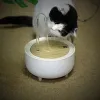 Leveranser Automatisk kattvatten Fontänfilter 2000 ml USB Electric Mute Pet Drink Bowl Pet Drink Dispenser Drinker For Cats Water Filter