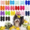 Dog Apparel 30PCS Cute Pet Hair Clips Puppy Solid Color Bow Hairpin Cat Boutique Accessories Multicolor