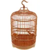 Nids Cage à oiseaux suspendue, cages à oiseaux rondes avec mangeoire et crochet de suspension, porte-oiseaux pour petits oiseaux, perruches, perroquets, calopsittes, grand