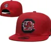 2024 All Team Fan's USA College Baseball Adjustable South Carolina Gamecocks Hat On Field Mix Order Size Closed Flat Bill Base Ball Snapback Caps Bone Chapeau A3