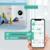 Steuern Sie das Xiaomi Youpin Aquarium-Thermometer, ein spezielles Thermometer für das Aquarium, ein Mini-LCD-Digital-Elektronik-Temperaturmessgerät für Aquarium-Zubehör