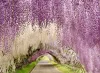 وصول جديد أنيقة الاصطناعية Hydangea الحرير زهرة كرمة جدار المنزل معلقة Wisteria Garland 14 ألوان متاحة لزفاف الزفاف عيد الميلاد 2024302