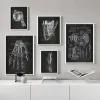 Grafstenen Menselijke Anatomie Kunstwerk Medische Kliniek Muur Foto Skelet Orgel Spier Systeem Vintage Canvas Print Lichaam Onderwijs Poster