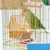 Nidi di piccione pappagallo gabbie per uccelli alimentatore grande canarino stand budgie gabbie per uccelli giocattoli all'aperto gaiola de passarinho prodotti per animali domestici YY50BC