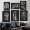 Gravestones Human Anatomy Artwork Medical Clinic Wall Picture Skeleton Organ Muskel System Vintage Canvas Print Body Education Poster