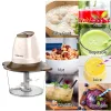 Grinders 2L Glass Blender Meat Grinder 2 Speeds Stainless Steel Electric Chopper Meat Grinder Mincer Food Processor Onion Garlic Slicer