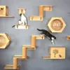 Grattoirs pour chat, étagères d'escalade murales, hamac mural, poteau à gratter, étagères d'escalier en bois avec échelle en corde de sisal, arbre à chat mural