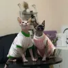 子猫犬用衣類スフィンクス猫の服のセーター