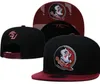 2024 All Team Fan's USA College Baseball Adjustable Ohio State Buckeyes Hat On Field Mix Order Size Closed Flat Bill Base Ball Snapback Caps Bone Chapeau A0