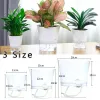 Dekorationer transparent självvattnande växtblomma plast plast planter hem trädgård dekor hexagonal lat blomkruka sm l l