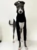 Sweaters Italian Greyhound High Collar Clothes Printed Stitching Cotton Dog Long Sleeve Whippet Dog Clothes Autumn