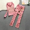 Kvinnors tvåbitar byxor märke Velvet Fabric Tracksuit Hoodies Sweatshirt och Sweatpants Velours Suit Set for Women 2 Pieces