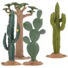 Fiori decorativi Cactus Muschio Cutainsfor Bedroom Modeling Statue Delicato finto desktop Decor Plastica simulata Bling