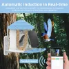 Accessoires Mangeoire à oiseaux intelligente avec caméra + panneau solaire Identifier les espèces d'oiseaux Détection de mouvement PIR Audio bidirectionnel Contrôle par application Caméra 4MP