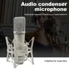 Microfoni Microfono professionale in metallo da studio per giochi per computer, registrazione, canto, scheda audio podcast