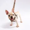 Dog Collars Leashes Dog Harness Collars Leashes Sets Fashion Letter Cat Large Fighting Schnauzer Teddy Leashes 240302