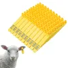 タグ家畜羊ヤギの耳タグN0.001100レーザータイピングナイロンプラスチックヘッドファームアニマルアイデンティフィケーションカード100 PCS