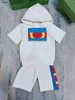 New baby designer tracksuits Hooded child Short sleeved suit kids Size 73-110 CM Colored logo kids t shirt and shorts 24Feb20