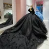 Черные платья принцессы Quinceanera 2024, 3Dцветочные аппликации, корсет на шнуровке с открытыми плечами и пышными рукавами, Vestidos De 15 Anos, платья для выпускного вечера