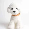 犬の首輪は複数の色の犬の首輪通り縞模様のファッション印刷スタイル耐久性のあるシュナウザーフレンチ240302