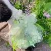 Kleider 2023 Mode handgemachte Haustier Hund Welpen Kleidung koreanische Luxus hellgrüne Spitze Blume mit Flügel Prinzessin Kleid für kleine mittlere Hund