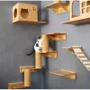 Grattoirs pour chat, étagères d'escalade murales, hamac mural, poteau à gratter, étagères d'escalier en bois avec échelle en corde de sisal, arbre à chat mural