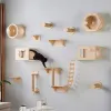 おもちゃ猫の壁の家具登山棚の壁に取り付けられた階段階段があり、ほとんどの子猫猫のために挽いたロープを引っ掻く粉砕爪のおもちゃ