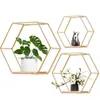 Étagère murale flottante, support de rangement d'articles divers, salon, décoration de la maison, présentoir artisanal hexagonal monté 240219