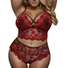 Bras Sets Erotic Large Size Floral Lace Lingerie Set Women Strappy Transparent Bra Elastic Panty See Through Underwear Intimates