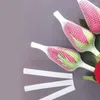 أكياس التخزين 1 كجم الورود البلاستيكية باوهوا صافي زهرة براعم الشبك