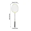 Set professionale di racchette da badminton per adulti, attrezzatura leggera, assorbente del sudore 240223