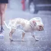 Regenjassen Hond Puppy Transparante regenkleding Regenjas Huisdier Waterdichte jas met capuchon Kleding Zacht PVC Kleine honden Regenjas Puppy Regenponcho
