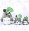 20cm filme dos desenhos animados macio totoro brinquedo de pelúcia bonito folha de lótus recheado totoro crianças boneca brinquedos para fãs 7926731