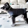 Parka Frangivento Vestiti per animali Inverno Caldo Addensare Cucciolo di cane Piumino per cani di piccola taglia media Whippet Levriero Cappotti mascotte Abbigliamento