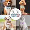 Dog Tag Free Engraving Id Cat Decoration Tags Collars Stainless Steel Customized Name Phone Number Pet Collar Accessories