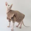 Vêtements Spring Flying Sleeve TShirt, Costume de chat sans poils Sphinx, Devon, Tenues de chaton Rex, Vêtements pour chat Sphynx, Vêtements pour chat, 2022