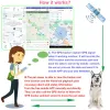 Трекеры 4g GPS-трекер для собак Локатор Водонепроницаемое устройство AntiLost Смартфон Поиск объектов Маленькая сигнализация Противоугонное устройство для домашних животных Ошейник
