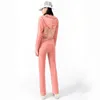 Kvinnors tvåbitar byxor märke Velvet Fabric Tracksuit Hoodies Sweatshirt och Sweatpants Velours Suit Set for Women 2 Pieces